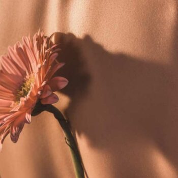 Vaginoplasty